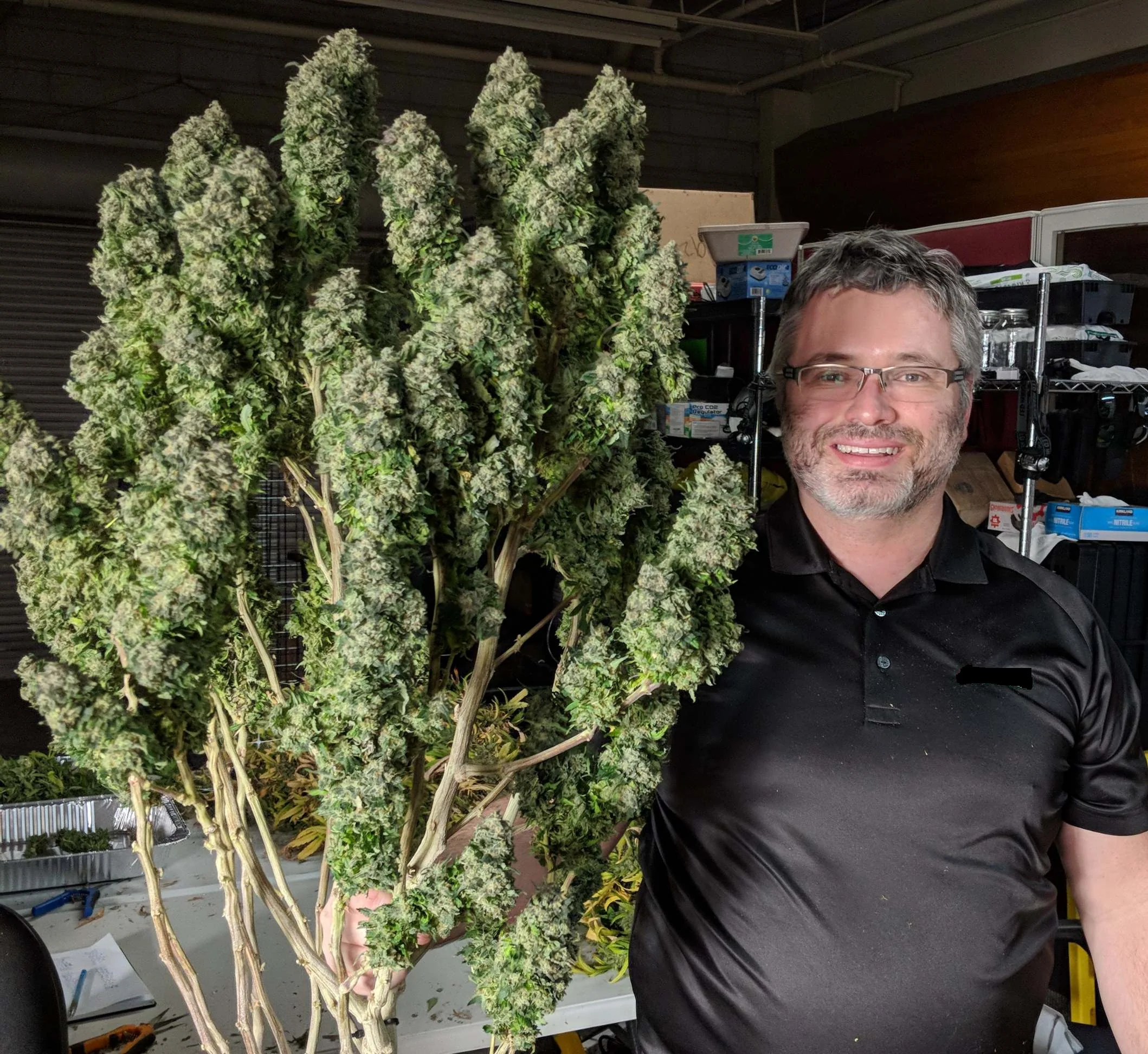 PURE FUEL Pro Line - GROW Formula 25LB - Image 5