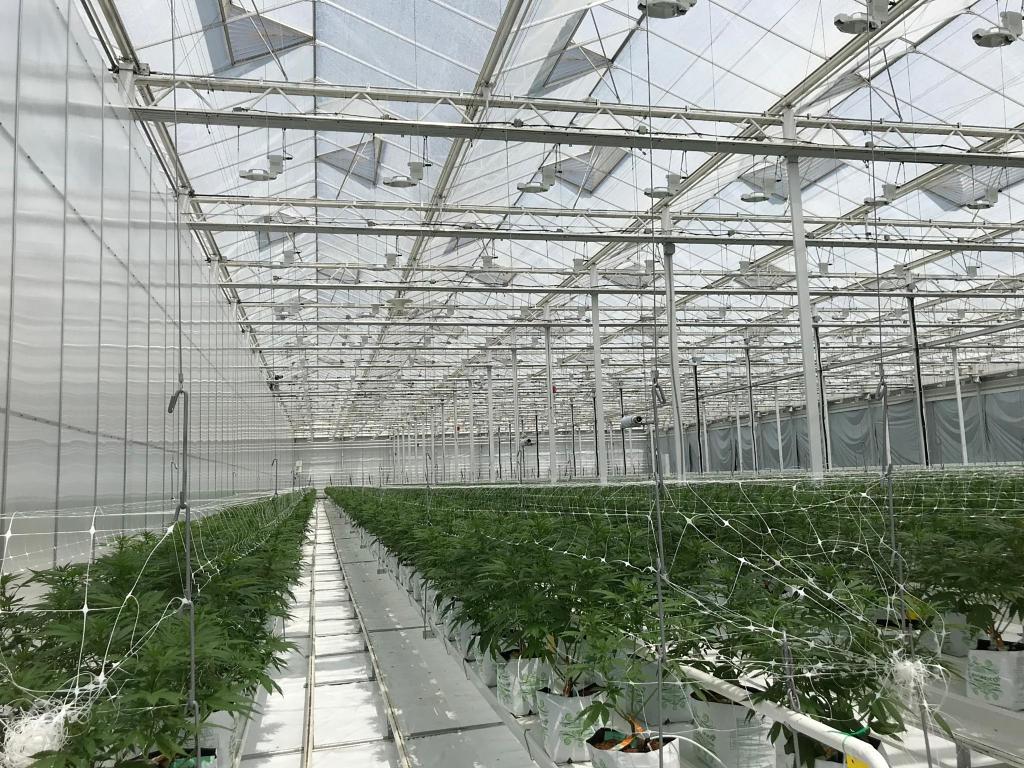 PURE FUEL Pro Line - GROW Formula 25LB - Image 6