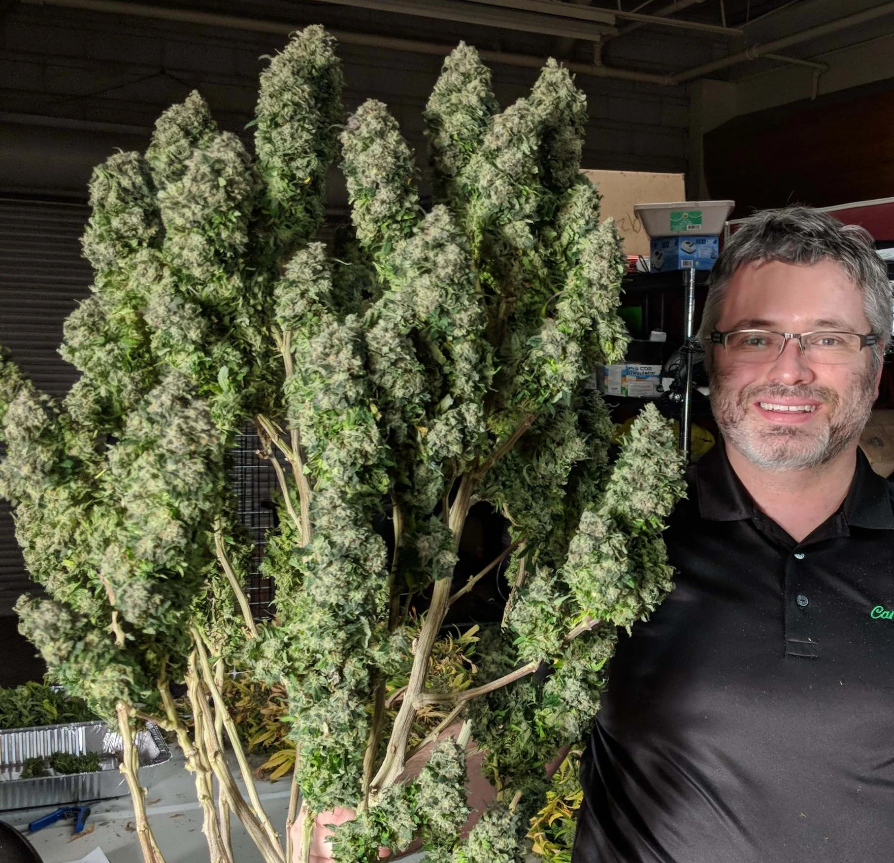 PURE FUEL Pro Line - BOOST! Nutrient Supercharger - Image 3