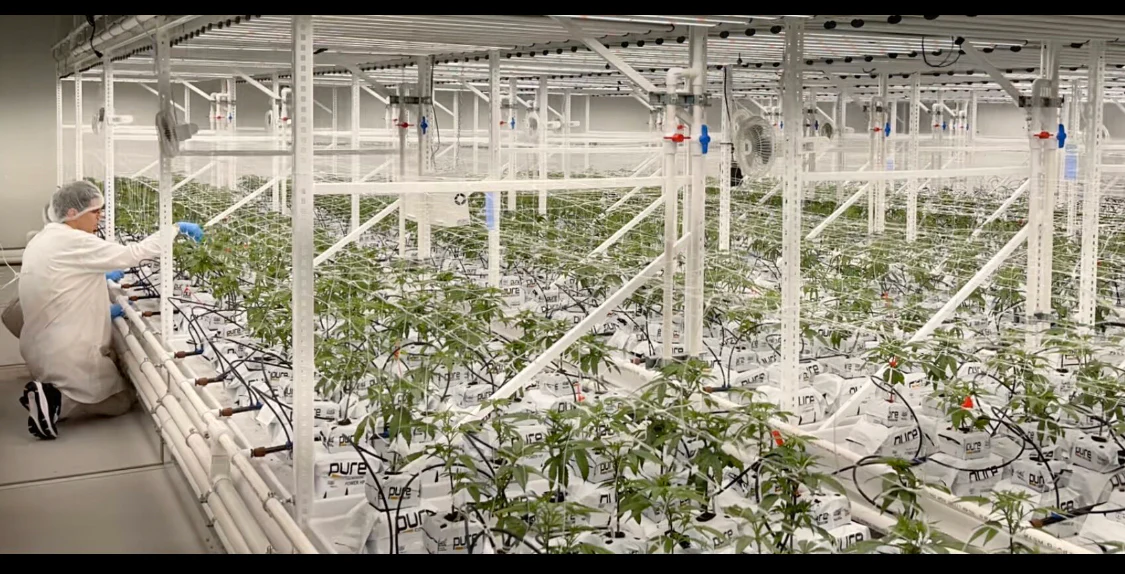 PURE SUBSTRATES 1 Gallon Grow Bag - HIGH POROSITY, Buffered + Superwashed - Image 3