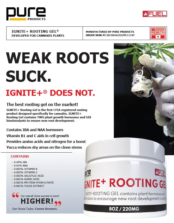 PURE FUEL Pro Line - IGNITE+ Rooting Gel - Image 3